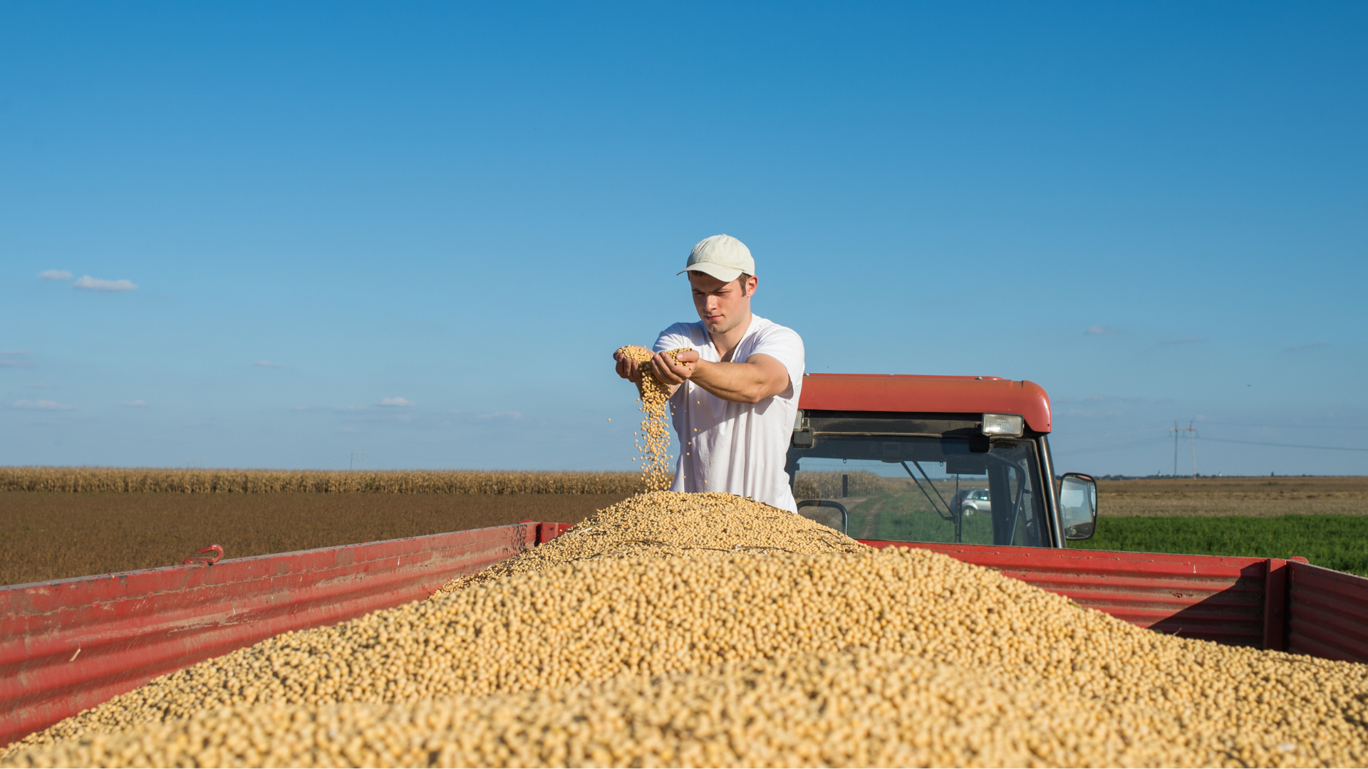 Embarques de soja em maio devem ultrapassar 14 milhões de toneladas: o que esse movimento mostra sobre a força do agro brasileiro