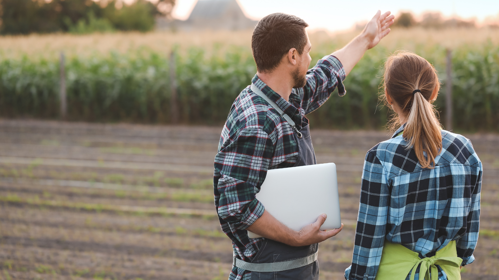 Agro bate recorde e emprega 28,4 milhões de pessoas em 2025